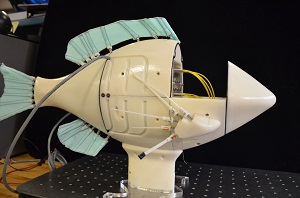 Robotic Fish